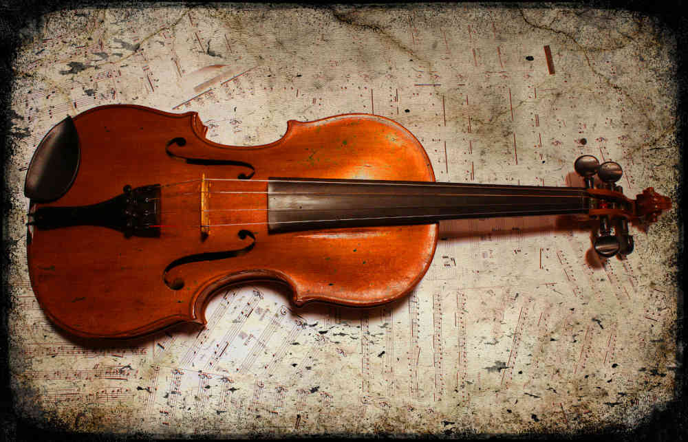 foto violin